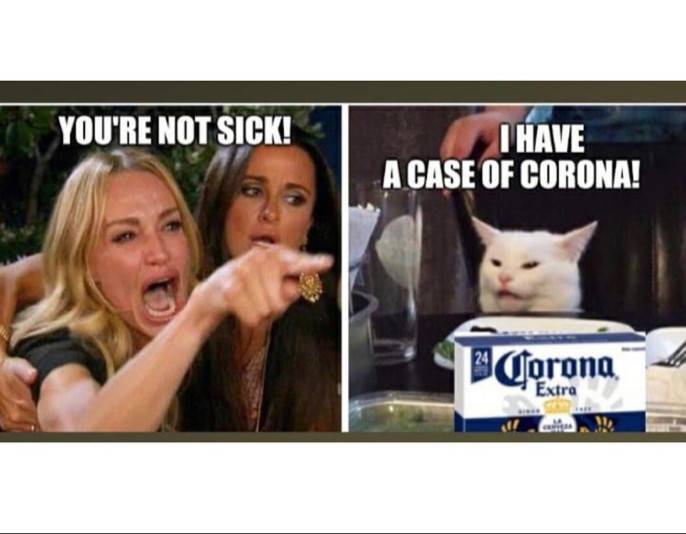Attached picture Corona cat meme.jpg